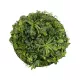 Artificial Garden VARIOUS PLANTS ROUND WALL DISC 20689 Τεχνητό Διακοσμητικό Στρογγυλό Πάνελ Φυλλωσιάς - Κάθετος Κήπος Μιξ Μ70 x Π70 x Υ15cm Artificial Garden VARIOUS PLANTS ROUND WALL DISC 20689 Τεχνητό Διακοσμητικό Στρογγυλό Πάνελ Φυλλωσιάς - Κάθετος Κήπος Μιξ Μ70 x Π70 x Υ15cm