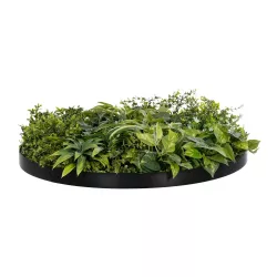 Artificial Garden VARIOUS PLANTS ROUND WALL DISC 20689 Τεχνητό Διακοσμητικό Στρογγυλό Πάνελ Φυλλωσιάς - Κάθετος Κήπος Μιξ Μ70 x Π70 x Υ15cm