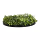 Artificial Garden VARIOUS PLANTS ROUND WALL DISC 20689 Τεχνητό Διακοσμητικό Στρογγυλό Πάνελ Φυλλωσιάς - Κάθετος Κήπος Μιξ Μ70 x Π70 x Υ15cm Artificial Garden VARIOUS PLANTS ROUND WALL DISC 20689 Τεχνητό Διακοσμητικό Στρογγυλό Πάνελ Φυλλωσιάς - Κάθετος Κήπος Μιξ Μ70 x Π70 x Υ15cm