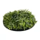 Artificial Garden VARIOUS PLANTS ROUND WALL DISC 20689 Τεχνητό Διακοσμητικό Στρογγυλό Πάνελ Φυλλωσιάς - Κάθετος Κήπος Μιξ Μ70 x Π70 x Υ15cm Artificial Garden VARIOUS PLANTS ROUND WALL DISC 20689 Τεχνητό Διακοσμητικό Στρογγυλό Πάνελ Φυλλωσιάς - Κάθετος Κήπος Μιξ Μ70 x Π70 x Υ15cm