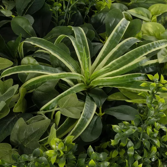Artificial Garden VARIOUS PLANTS ROUND WALL DISC 20689 Τεχνητό Διακοσμητικό Στρογγυλό Πάνελ Φυλλωσιάς - Κάθετος Κήπος Μιξ Μ70 x Π70 x Υ15cm Artificial Garden VARIOUS PLANTS ROUND WALL DISC 20689 Τεχνητό Διακοσμητικό Στρογγυλό Πάνελ Φυλλωσιάς - Κάθετος Κήπος Μιξ Μ70 x Π70 x Υ15cm