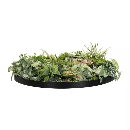 Artificial Garden VARIOUS PLANTS ROUND WALL DISC 20690 Τεχνητό Διακοσμητικό Στρογγυλό Πάνελ Φυλλωσιάς - Κάθετος Κήπος Μιξ Μ80 x Π80 x Υ20cm Artificial Garden VARIOUS PLANTS ROUND WALL DISC 20690 Τεχνητό Διακοσμητικό Στρογγυλό Πάνελ Φυλλωσιάς - Κάθετος Κήπος Μιξ Μ80 x Π80 x Υ20cm