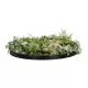 Artificial Garden VARIOUS PLANTS ROUND WALL DISC 20690 Τεχνητό Διακοσμητικό Στρογγυλό Πάνελ Φυλλωσιάς - Κάθετος Κήπος Μιξ Μ80 x Π80 x Υ20cm Artificial Garden VARIOUS PLANTS ROUND WALL DISC 20690 Τεχνητό Διακοσμητικό Στρογγυλό Πάνελ Φυλλωσιάς - Κάθετος Κήπος Μιξ Μ80 x Π80 x Υ20cm