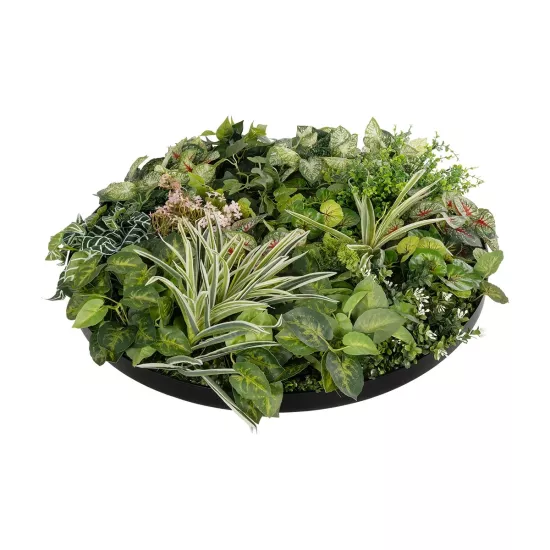 Artificial Garden VARIOUS PLANTS ROUND WALL DISC 20690 Τεχνητό Διακοσμητικό Στρογγυλό Πάνελ Φυλλωσιάς - Κάθετος Κήπος Μιξ Μ80 x Π80 x Υ20cm Artificial Garden VARIOUS PLANTS ROUND WALL DISC 20690 Τεχνητό Διακοσμητικό Στρογγυλό Πάνελ Φυλλωσιάς - Κάθετος Κήπος Μιξ Μ80 x Π80 x Υ20cm