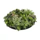 Artificial Garden VARIOUS PLANTS ROUND WALL DISC 20690 Τεχνητό Διακοσμητικό Στρογγυλό Πάνελ Φυλλωσιάς - Κάθετος Κήπος Μιξ Μ80 x Π80 x Υ20cm Artificial Garden VARIOUS PLANTS ROUND WALL DISC 20690 Τεχνητό Διακοσμητικό Στρογγυλό Πάνελ Φυλλωσιάς - Κάθετος Κήπος Μιξ Μ80 x Π80 x Υ20cm