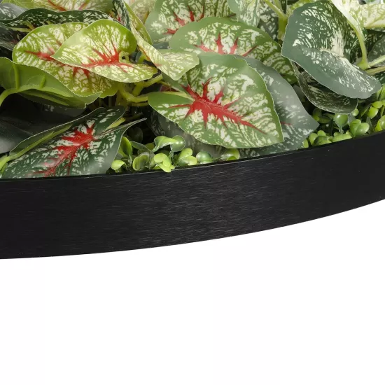 Artificial Garden VARIOUS PLANTS ROUND WALL DISC 20690 Τεχνητό Διακοσμητικό Στρογγυλό Πάνελ Φυλλωσιάς - Κάθετος Κήπος Μιξ Μ80 x Π80 x Υ20cm Artificial Garden VARIOUS PLANTS ROUND WALL DISC 20690 Τεχνητό Διακοσμητικό Στρογγυλό Πάνελ Φυλλωσιάς - Κάθετος Κήπος Μιξ Μ80 x Π80 x Υ20cm