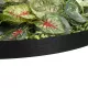 Artificial Garden VARIOUS PLANTS ROUND WALL DISC 20690 Τεχνητό Διακοσμητικό Στρογγυλό Πάνελ Φυλλωσιάς - Κάθετος Κήπος Μιξ Μ80 x Π80 x Υ20cm Artificial Garden VARIOUS PLANTS ROUND WALL DISC 20690 Τεχνητό Διακοσμητικό Στρογγυλό Πάνελ Φυλλωσιάς - Κάθετος Κήπος Μιξ Μ80 x Π80 x Υ20cm