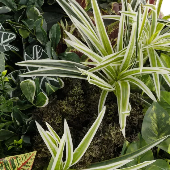 Artificial Garden VARIOUS PLANTS ROUND WALL DISC 20691 Τεχνητό Διακοσμητικό Στρογγυλό Πάνελ Φυλλωσιάς - Κάθετος Κήπος Μιξ Μ60 x Π60 x Υ20cm Artificial Garden VARIOUS PLANTS ROUND WALL DISC 20691 Τεχνητό Διακοσμητικό Στρογγυλό Πάνελ Φυλλωσιάς - Κάθετος Κήπος Μιξ Μ60 x Π60 x Υ20cm