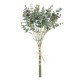 Artificial Garden EUCALYPTYS BRANCH 20776 Τεχνητό Διακοσμητικό Κλαδί Ευκαλύπτου Y37cm Artificial Garden EUCALYPTYS BRANCH 20776 Τεχνητό Διακοσμητικό Κλαδί Ευκαλύπτου Y37cm