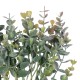 Artificial Garden EUCALYPTYS BRANCH 20776 Τεχνητό Διακοσμητικό Κλαδί Ευκαλύπτου Y37cm Artificial Garden EUCALYPTYS BRANCH 20776 Τεχνητό Διακοσμητικό Κλαδί Ευκαλύπτου Y37cm