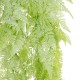 Artificial Garden HANGING FERN 20806 Τεχνητό Διακοσμητικό Κρεμαστό Φυτό Φτέρη Μ40 x Π20 x Υ88cm