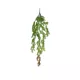 Artificial Garden HANGING CYPRESS 20822 Τεχνητό Διακοσμητικό Κρεμαστό Φυτό Κυπαρίσσι Μ25 x Π15 x Υ80cm Artificial Garden HANGING CYPRESS 20822 Τεχνητό Διακοσμητικό Κρεμαστό Φυτό Κυπαρίσσι Μ25 x Π15 x Υ80cm