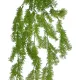 Artificial Garden HANGING CYPRESS 20822 Τεχνητό Διακοσμητικό Κρεμαστό Φυτό Κυπαρίσσι Μ25 x Π15 x Υ80cm Artificial Garden HANGING CYPRESS 20822 Τεχνητό Διακοσμητικό Κρεμαστό Φυτό Κυπαρίσσι Μ25 x Π15 x Υ80cm
