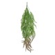 Artificial Garden HANGING FERN BRANCH 20834 Τεχνητό Διακοσμητικό Κρεμαστό κλαδί Φτέρης Μ30 x Π8 x Υ87cm