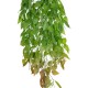 Artificial Garden HANGING LIMA BEAN 20846 Τεχνητό Διακοσμητικό Κρεμαστό Φυτό Φασόλι Λίμα Μ29 x Π10 x Υ86cm