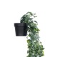 Artificial Garden HANGING DATURA 20865 Τεχνητό Κρεμαστό Διακοσμητικό Φυτό Δατούρα  Φ26 x Y80cm