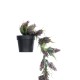 Artificial Garden HANGING BROWN PINE CONE 20870 - Τεχνητό Κρεμαστό Διακοσμητικό Φυτό Κουκουνάρι Φ15 x Y60cm