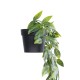 Artificial Garden HANGING DUTCH BEAN 20883 - Τεχνητό Κρεμαστό Διακοσμητικό Φυτό Ολλανδικό Φασόλι Φ28 x Y70cm