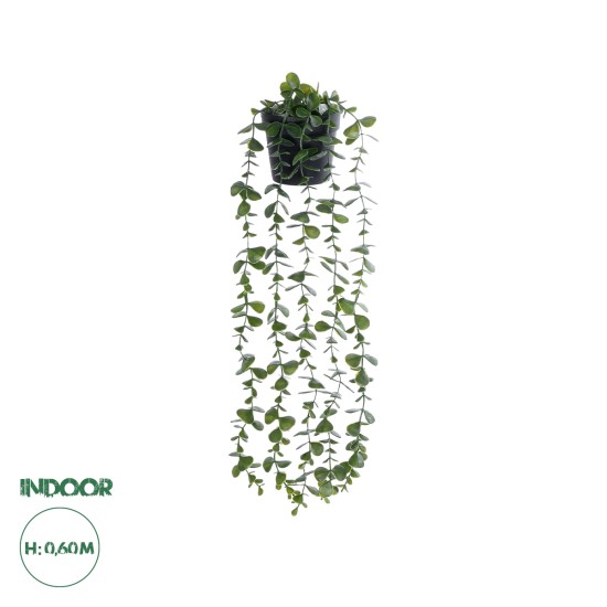 Artificial Garden HANGING EUCALYPTUS LEAF 20884 - Τεχνητό Κρεμαστό Διακοσμητικό Φυτό Φύλλα Ευκάλυπτου Φ17 x Y60cm