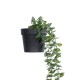 Artificial Garden HANGING EUCALYPTUS LEAF 20884 - Τεχνητό Κρεμαστό Διακοσμητικό Φυτό Φύλλα Ευκάλυπτου Φ17 x Y60cm