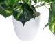 Artificial Garden POTHOS PINEAPPLE 20885 Τεχνητό Διακοσμητικό Φυτό Πόθος Ανανά Φ60 x Υ33cm