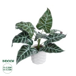 Artificial Garden ALOCASIA 20886 Τεχνητό Διακοσμητικό Φυτό Αλοκασία Φ38 x Υ33cm