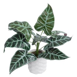 Artificial Garden ALOCASIA 20886 Τεχνητό Διακοσμητικό Φυτό Αλοκασία Φ38 x Υ33cm