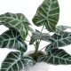 Artificial Garden ALOCASIA 20886 Τεχνητό Διακοσμητικό Φυτό Αλοκασία Φ38 x Υ33cm