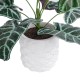 Artificial Garden ALOCASIA 20886 Τεχνητό Διακοσμητικό Φυτό Αλοκασία Φ38 x Υ33cm