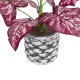 Artificial Garden RED POLKA 20887 Τεχνητό Διακοσμητικό Φυτό Κόκκινη Πόλκα Φ38 x Υ33cm