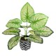 Artificial Garden CALADIUM 20889 Τεχνητό Διακοσμητικό Φυτό Τροπικό Φυτό Φ40 x Υ33cm