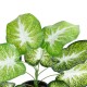 Artificial Garden CALADIUM 20890 Τεχνητό Διακοσμητικό Φυτό Τροπικό Φυτό  Φ40 x Υ33cm