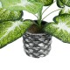 Artificial Garden CALADIUM 20890 Τεχνητό Διακοσμητικό Φυτό Τροπικό Φυτό  Φ40 x Υ33cm