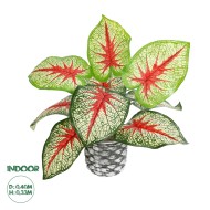 Artificial Garden CALADIUM 20891 Τεχνητό Διακοσμητικό Φυτό Τροπικό Φυτό Φ40 x Υ33cm