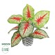 Artificial Garden CALADIUM 20891 Τεχνητό Διακοσμητικό Φυτό Τροπικό Φυτό Φ40 x Υ33cm