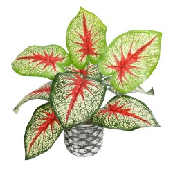 Artificial Garden CALADIUM 20891 Τεχνητό Διακοσμητικό Φυτό Τροπικό Φυτό Φ40 x Υ33cm