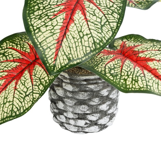 Artificial Garden CALADIUM 20891 Τεχνητό Διακοσμητικό Φυτό Τροπικό Φυτό Φ40 x Υ33cm