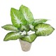 Artificial Garden CALADIUM POTTED PLANT 20894 Διακοσμητικό Φυτό Καλάντιουμ Φ40 x Υ33cm