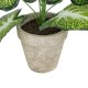 Artificial Garden CALADIUM POTTED PLANT 20894 Διακοσμητικό Φυτό Καλάντιουμ Φ40 x Υ33cm