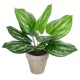 Artificial Garden SILVER POTHOS POTTED PLANT 20896 Διακοσμητικό Φυτό Πόθος Φ40 x Υ33cm