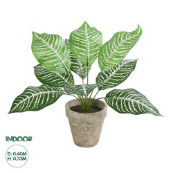 Artificial Garden ZEBRA POTTED PLANT 20898 Διακοσμητικό Φυτό Ζέμπρα Φ40 x Υ33cm