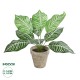 Artificial Garden ZEBRA POTTED PLANT 20898 Διακοσμητικό Φυτό Ζέμπρα Φ40 x Υ33cm