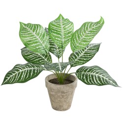 Artificial Garden ZEBRA POTTED PLANT 20898 Διακοσμητικό Φυτό Ζέμπρα Φ40 x Υ33cm