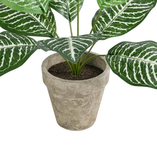 Artificial Garden ZEBRA POTTED PLANT 20898 Διακοσμητικό Φυτό Ζέμπρα Φ40 x Υ33cm