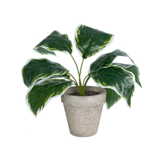 Artificial Garden WHITE HOSTA PLANT 20900 Διακοσμητικό Φυτό Λευκή  Χόστα Φ45 x Υ40cm