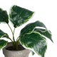 Artificial Garden WHITE HOSTA PLANT 20900 Διακοσμητικό Φυτό Λευκή  Χόστα Φ45 x Υ40cm