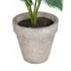 Artificial Garden WHITE HOSTA PLANT 20900 Διακοσμητικό Φυτό Λευκή  Χόστα Φ45 x Υ40cm