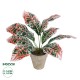 Artificial Garden RED AGLAONEMA POTTED PLANT 20901 Διακοσμητικό Φυτό Κόκκινο Αγλαόνημα Φ40 x Υ33cm