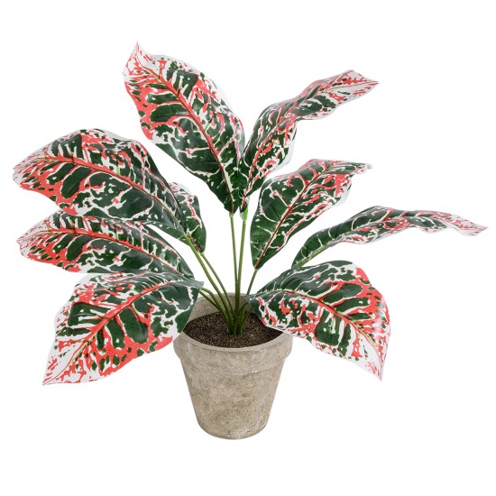 Artificial Garden RED AGLAONEMA POTTED PLANT 20901 Διακοσμητικό Φυτό Κόκκινο Αγλαόνημα Φ40 x Υ33cm