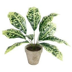 Artificial Garden YELLOW AGLAONEMA POTTED PLANT 20902 Διακοσμητικό Φυτό Κίτρινο Αγλαόνημα Φ40 x Υ33cm